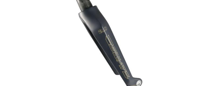 Carbon Fork Gabeln