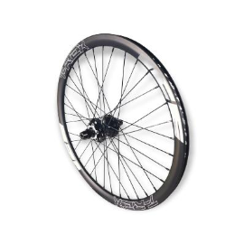 roue arrière ice t-rex carbone disc 20 x 1-1_8 moyeu ice hacker disque logo blanc_000
