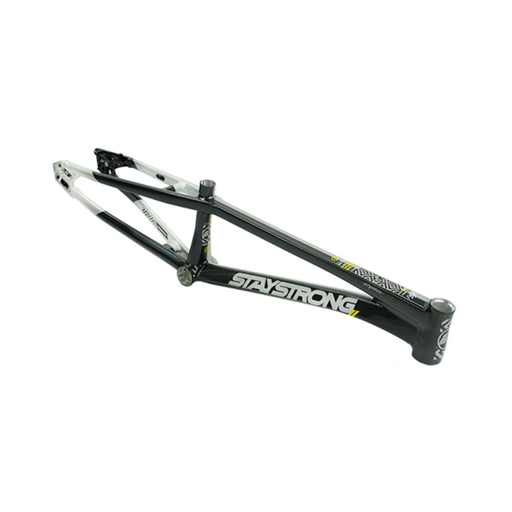 Stay Strong For Life V5.1 2026 Frame - Charcoal/Silver – BMX