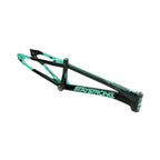 Stay Strong For Life V5.1 2026 Frame - Tiffany/Black