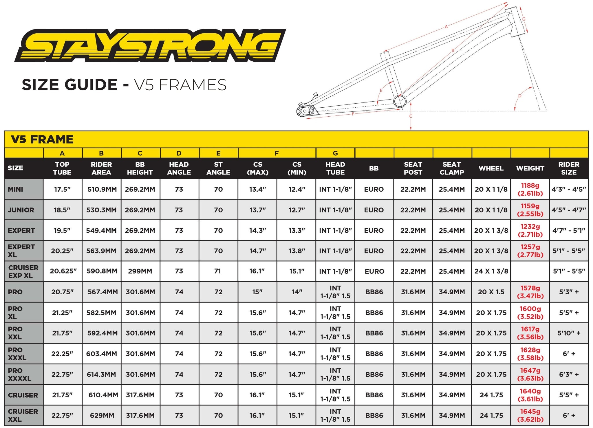 Stay Strong For Life V5.1 2026 Frame - Gold/Black